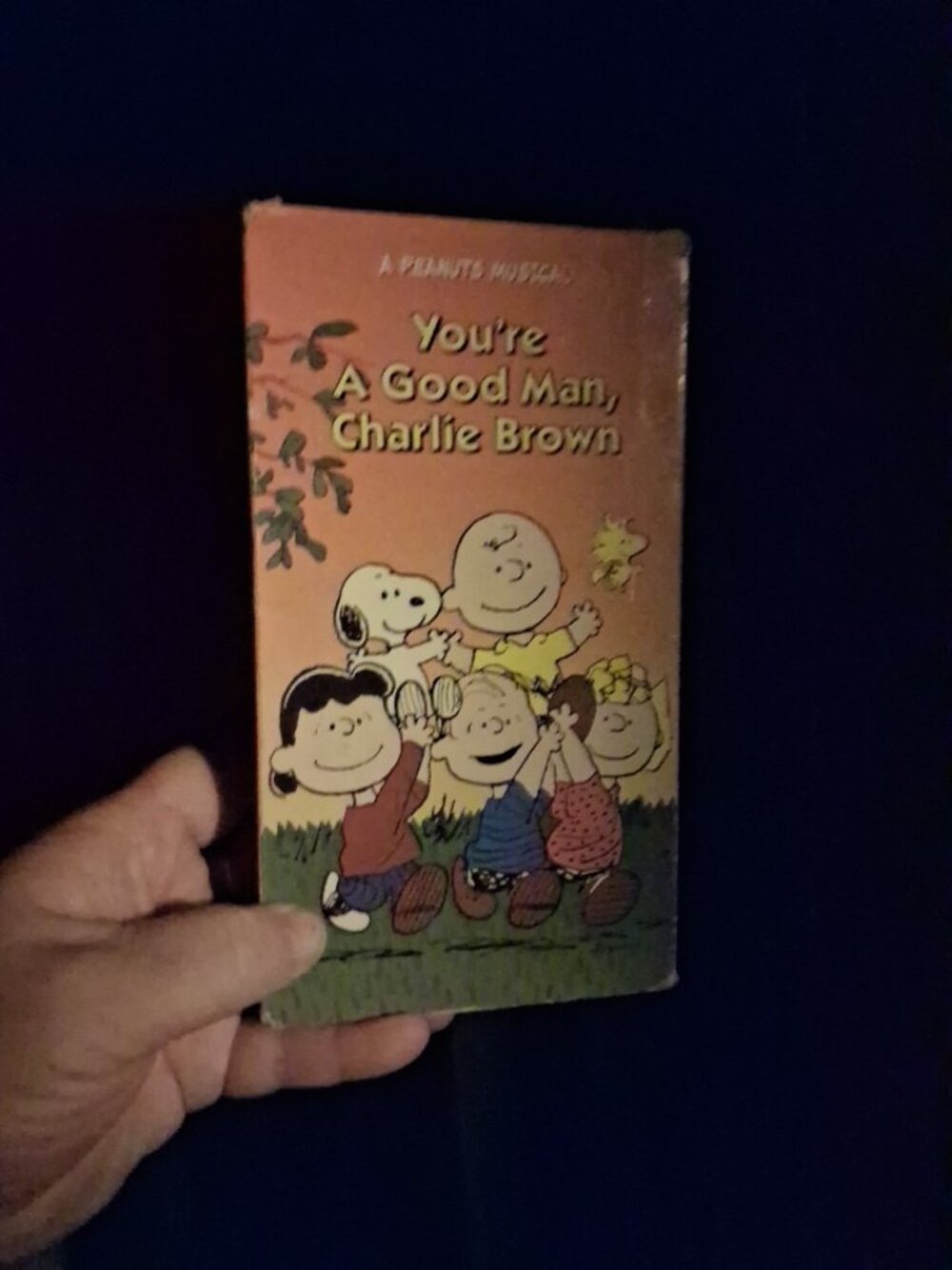 You're a good man, Charlie Brown VHS